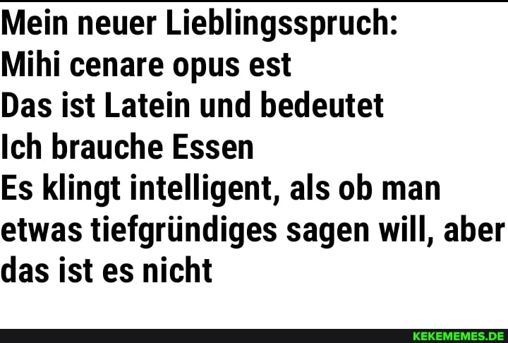 Mein neuer Lieblingsspruch:
Mihi cenare opus est
Das ist Latein und bedeutet
Ich brauche Essen
Es klingt intelligent, als ob man etwas tiefgründiges sagen will, aber das ist es nicht