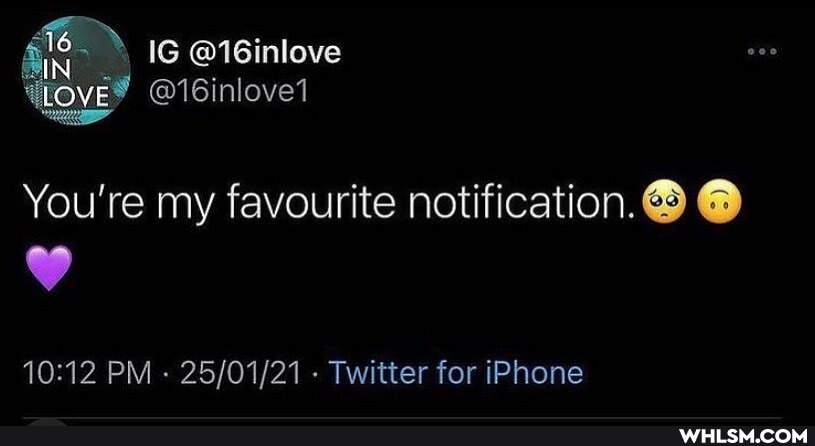 IG @16inlove
YLOVE
You're my favourite notification.
PM - Twitter for iPhone