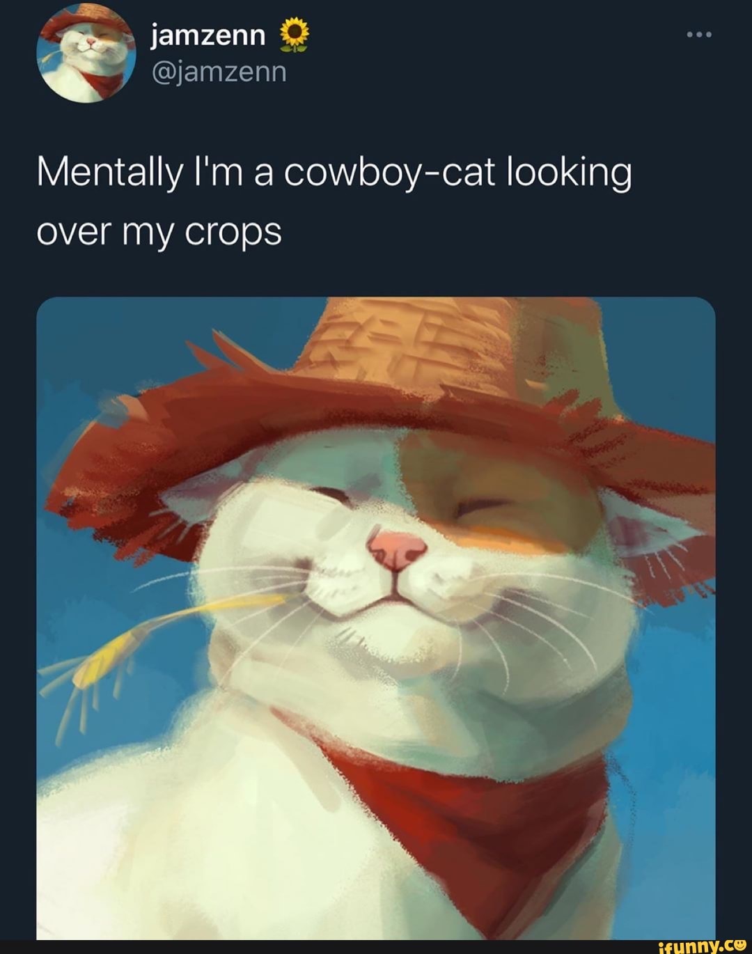 jamzenn
@jamzenn
Mentally I'm cowboy-cat looking over my crops