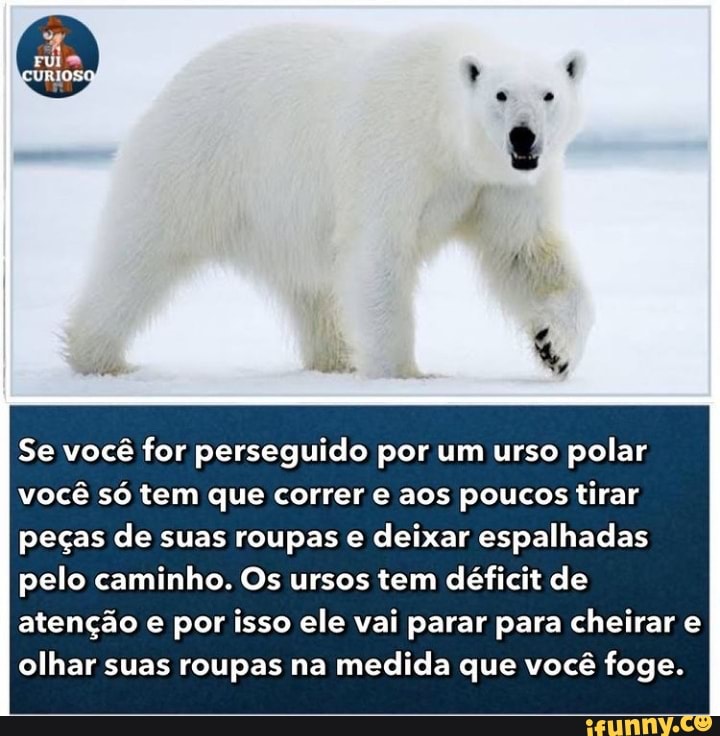 Se você for perseguido por um urso polar você só tem que correr e aos poucos tirar
peças de suas roupas e deixar espalhadas pelo caminho. Os ursos tem déficit de atenção e por isso ele vai parar para cheirar e olhar suas roupas na medida que você foge.