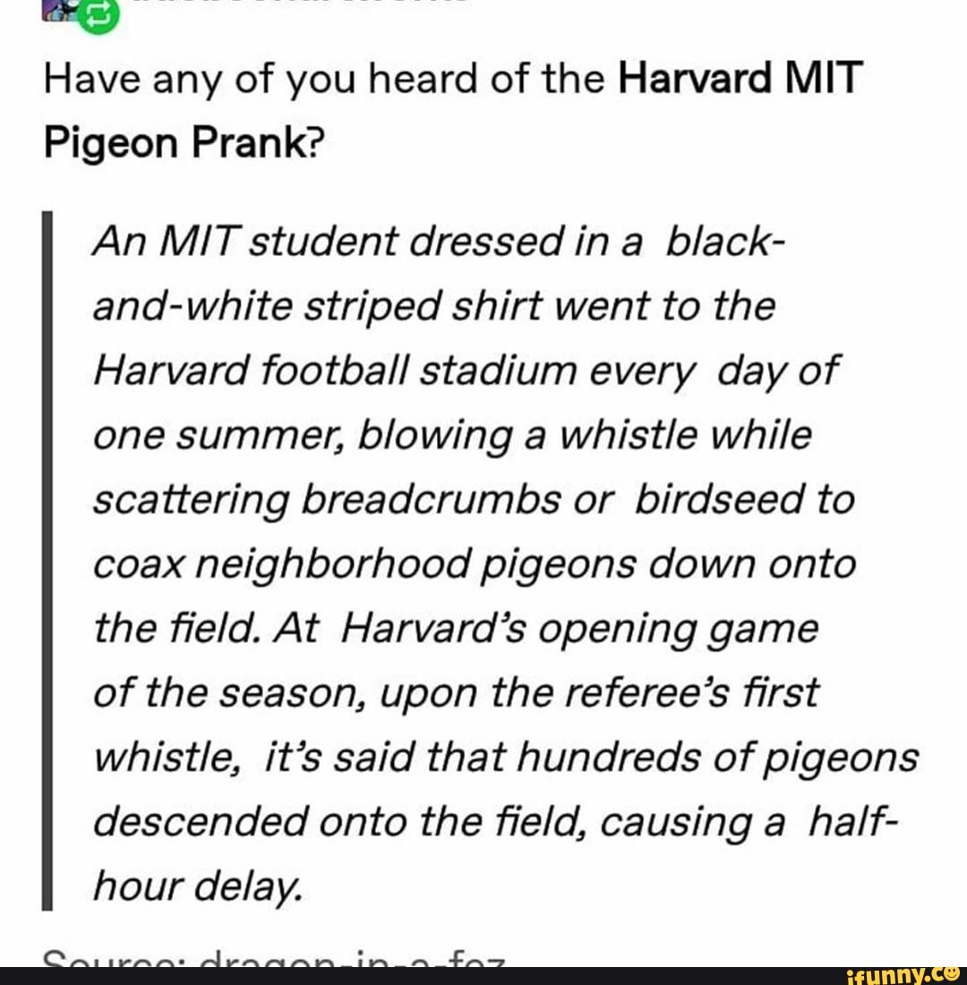 Have any of you heard of the Harvard MIT Pigeon Prank? An MIT student