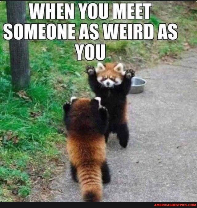 WHEN YOU MEET SOMEONE AS WEIRD AS