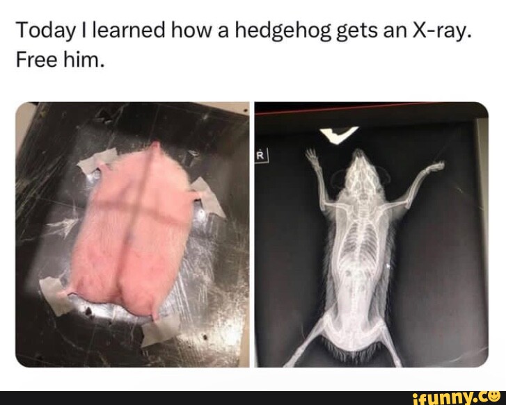 HEY OUDE, You DOING Ok AY? I HAVENT SEEN YOu TaKE A "SELF CARE DAY" IN