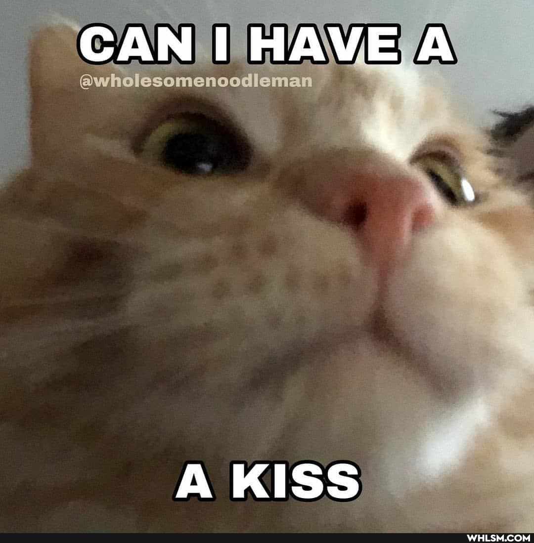 CAN HAVE A
A KISS