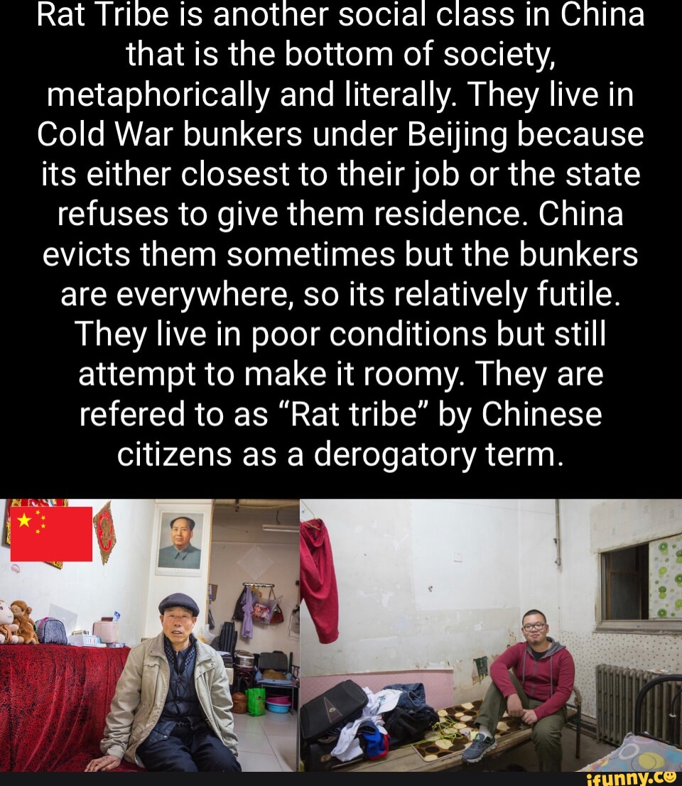 Rat Tribe is another social class in China that is the bottom of