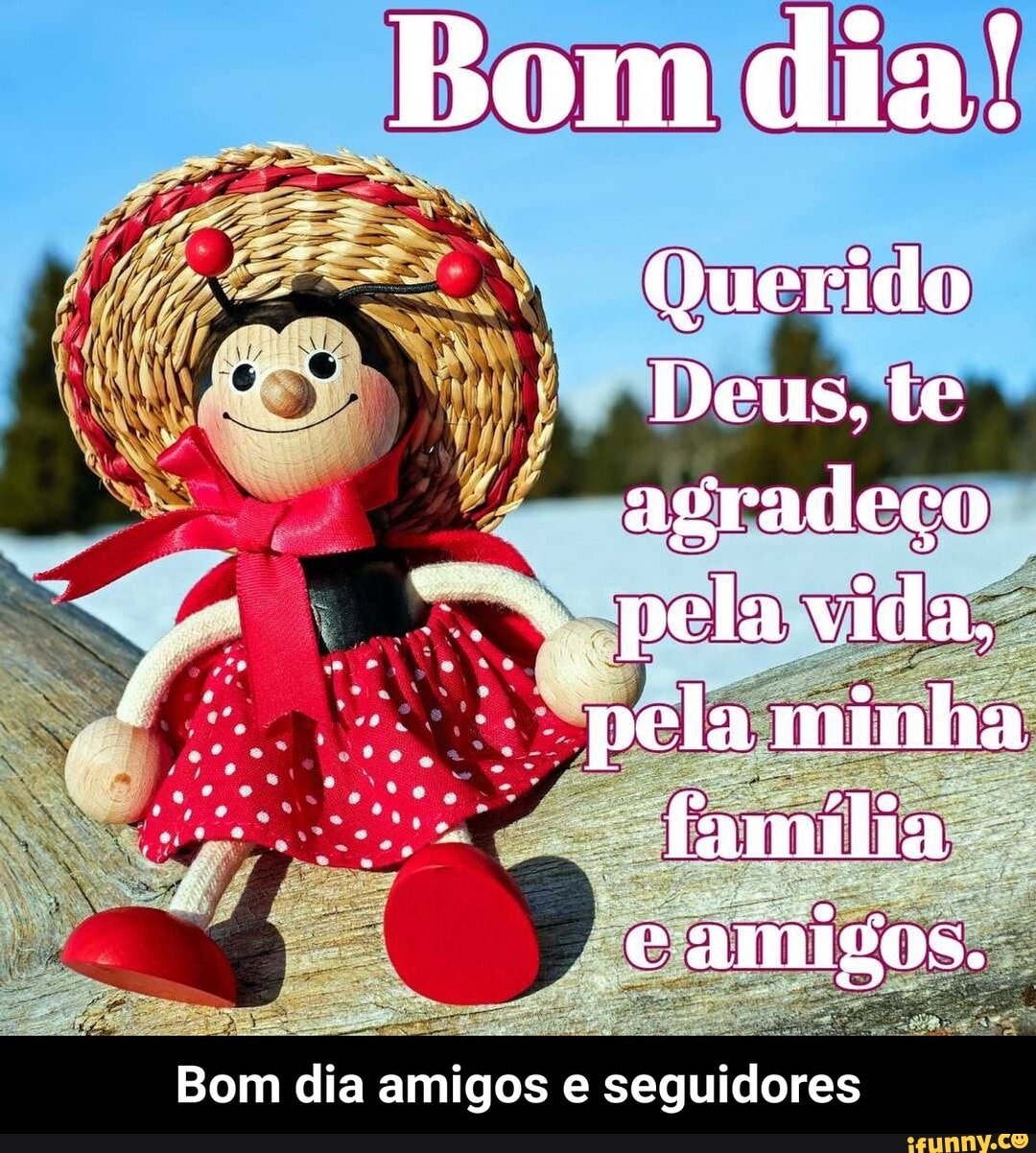 Bom dia! Querido Deus. te agradeço pela vida, família. camigos. Bom dia  amigos e seguidores - Bom dia amigos e seguidores - iFunny Brazil