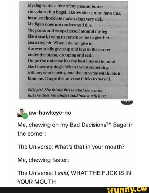 Me, chewing on my Bad Decisions™ Bagel in
the corner:
The Universe: What's that in your mouth?
Me, chewing faster:
The Universe: I said, WHAT THE FUCK IS IN
YOUR MOUTH