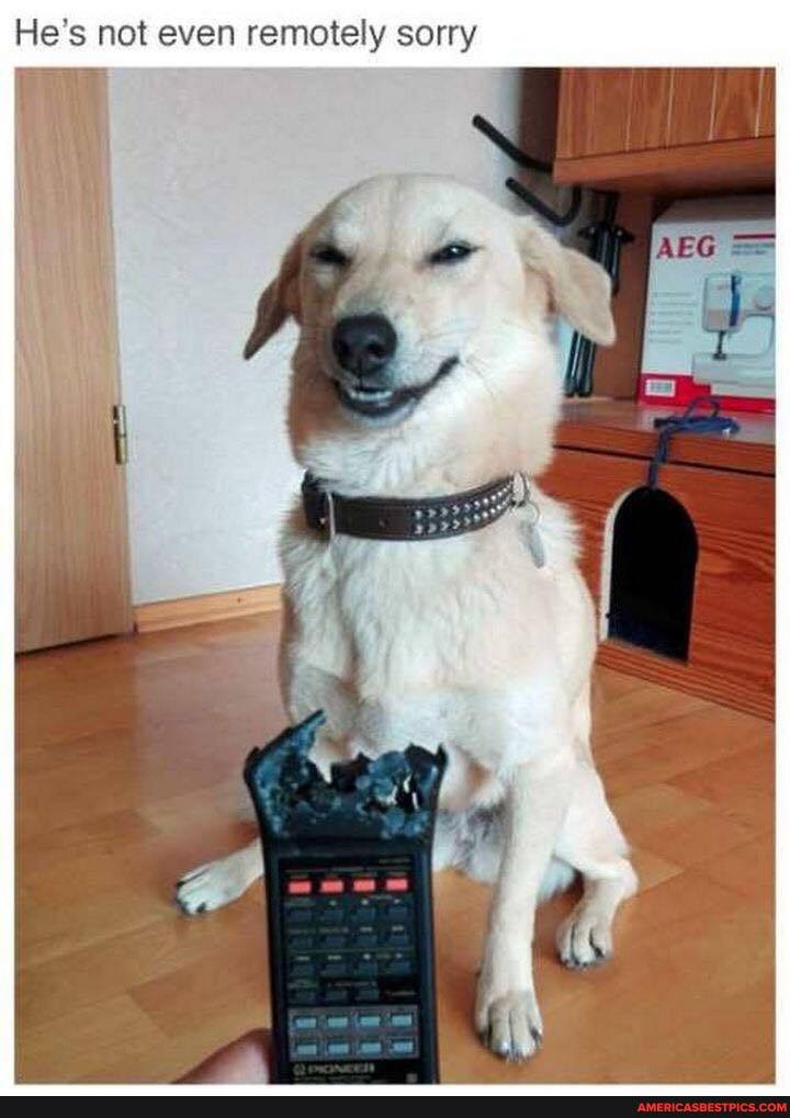 He's not even remotely sorry