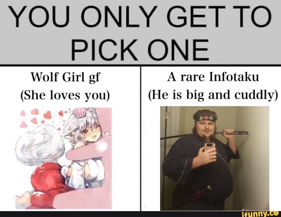 wolf girl with you meme