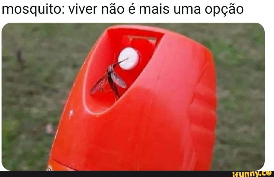 mosquito: viver não é mais uma opção