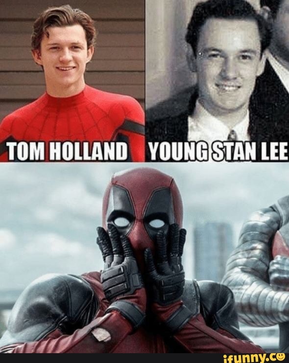 FOM HOLLANG =YOUNG )STAN LEE
