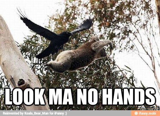 PRO LOOK MA NO HANDS