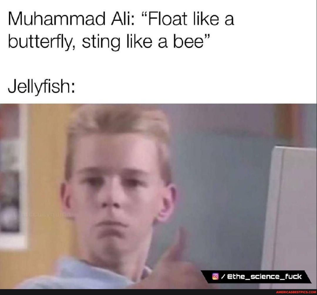 Muhammad Ali Float Like A Butterfly Sting Like A Bee The Science Fuck Jellyfish America S Best Pics And Videos