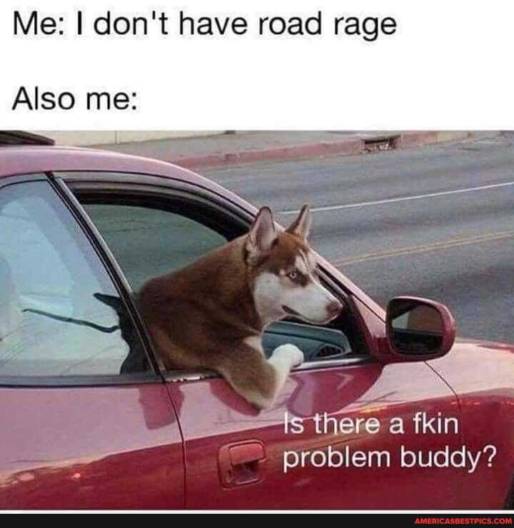 Me: I don't have road rage
er
Also me:
here a fkin problem buddy?