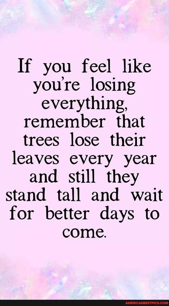 If you feel like youre losing everything,
remember that
trees lose their leaves every year and still they stand tall and wait for better days to come.