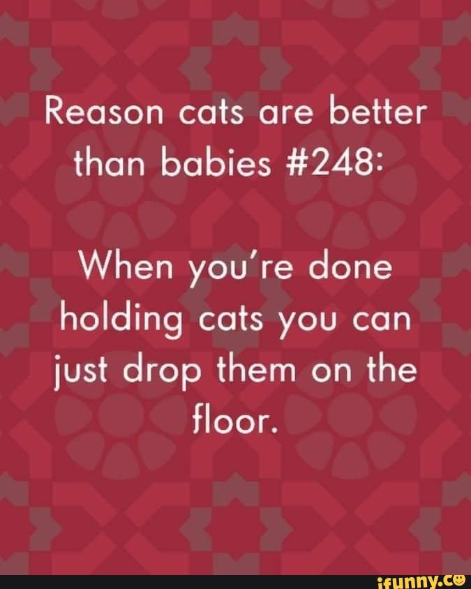 So many cat cat memes Reason cats are better than babies 248 When