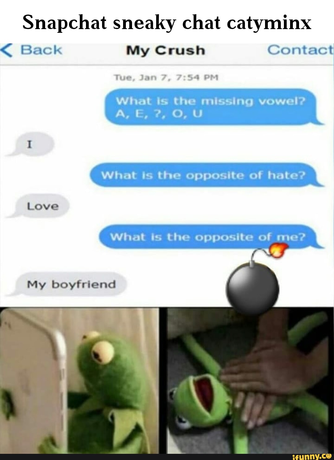 Catyminx memes. Best Collection of funny Catyminx pictures on iFunny