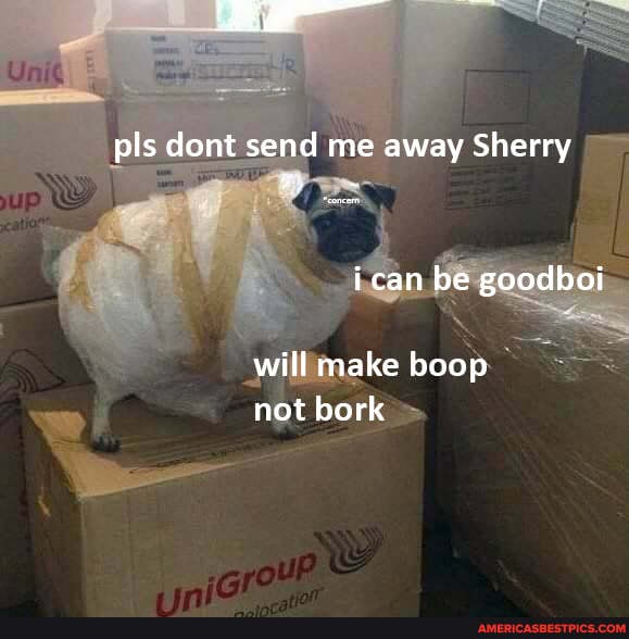 pls dont send me away Sherry
be
will make boop not bork