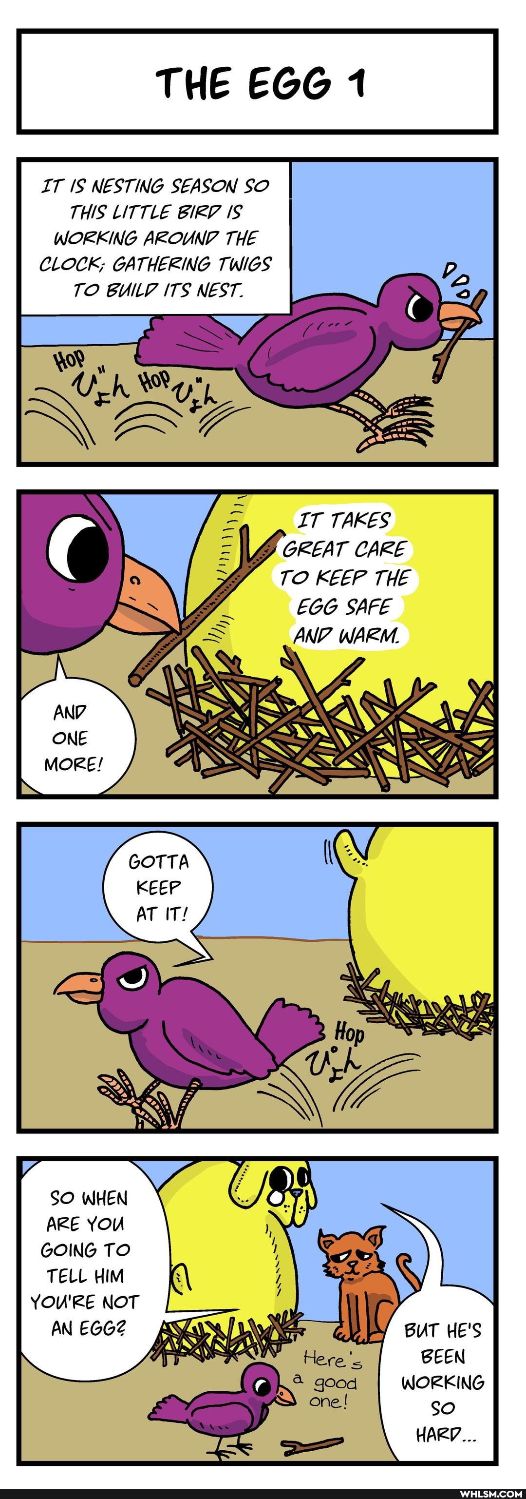 THE EGG 1
IT IS NESTING SEASON SO THIS LITTLE BIRV IS WORKING AROUNV THE CLOCK; GATHERING TWIGS TO BUILV ITS NEST.
IT TAKES
GREAT CARE
TO KEEP THE EGG SAFE
AN? WARM.
SO WHEN ARE YOU GOING TO TELL HIM YOU'RE NOT AN EGGZ BUT HE'S BEEN WORKING SO HARD...