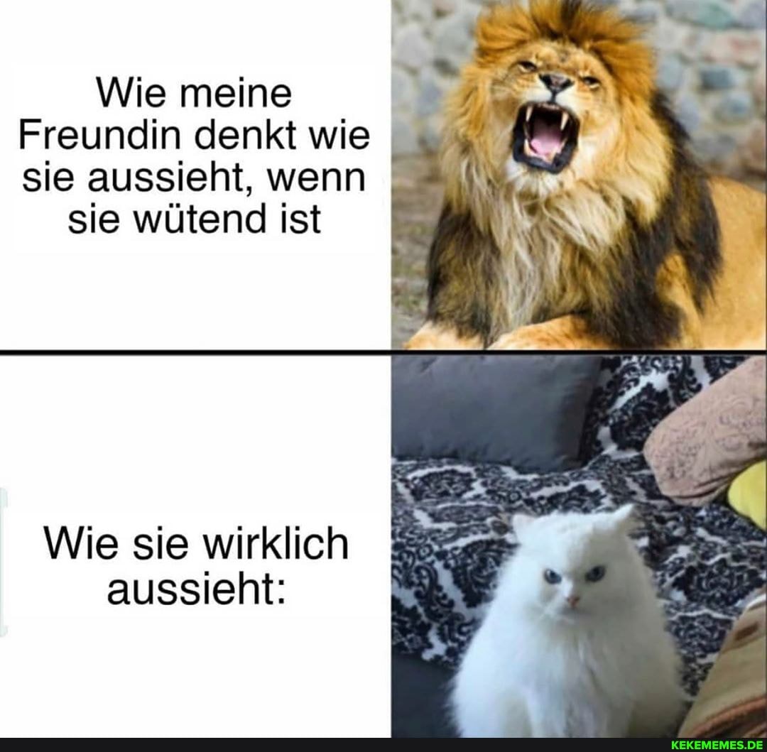 Wie meine
Freundin denkt wie sie aussieht, wenn
sie wütend ist
Wie sie wirklich aussieht: