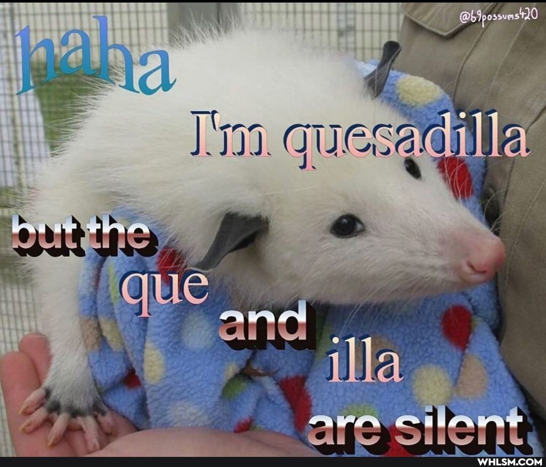 "E laa
ara el PRA ÃE by EEGE