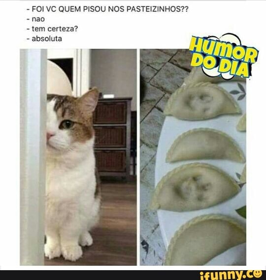 FOI VC QUEM PISOU NOS PASTEIZINHOS??
-nao
tem certeza?
absoluta
