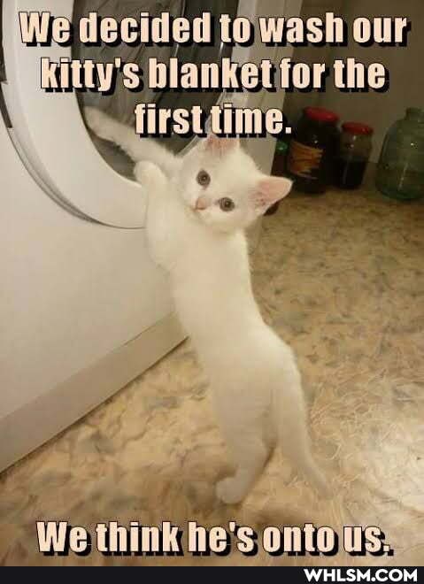 decided towash our
OF