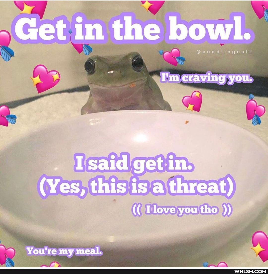 Get in the bowl.
I'm craving you.
I said get in.
(Yes, this is a threat)
I love you tho
You're my meal.