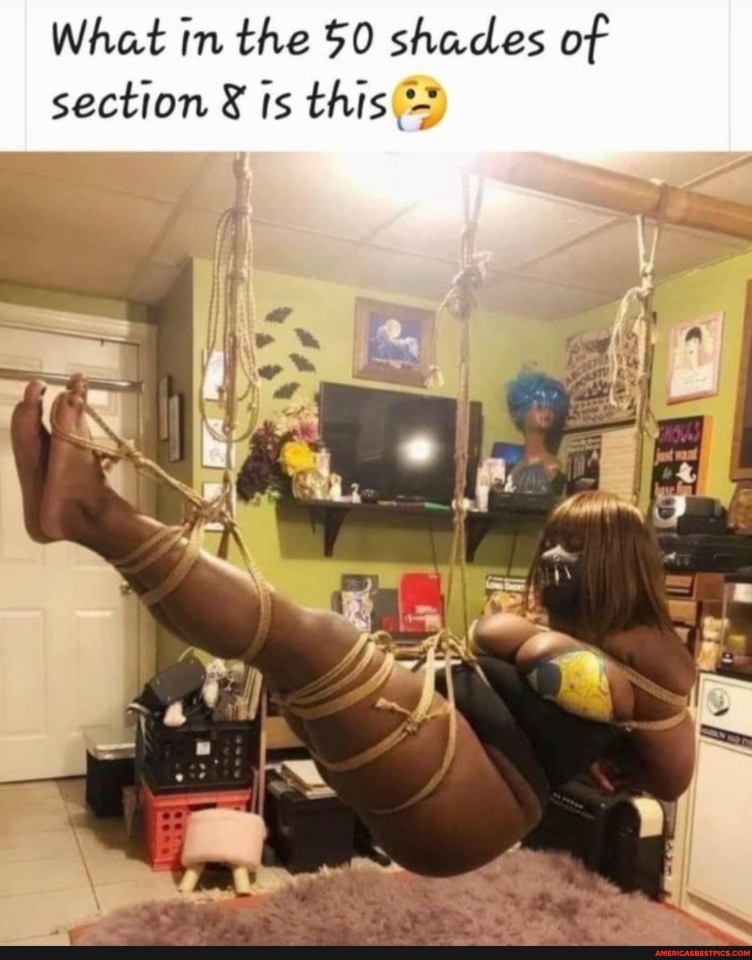 What in the 50 shades of section ts this