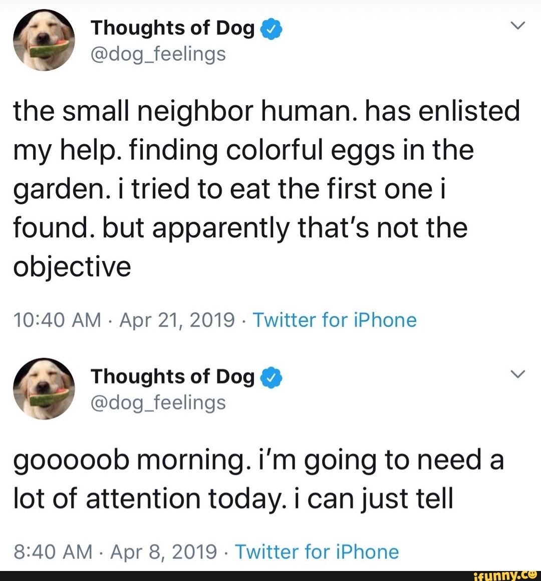 the small neighbor human. has enlisted
my help. finding colorful eggs in the
garden. i tried to eat the first one i
found. but apparently that’s not the
objective
10:40 AM
-
Apr 21, 2019
-
Twitter for iPhone
Thoughts of Dog º V
@dog_feelings
gooooob morning. i’m going to need a
lot of attention today. i can just tell
8:40 AM
-
Apr 8, 2019
-
Twitter for iPhone