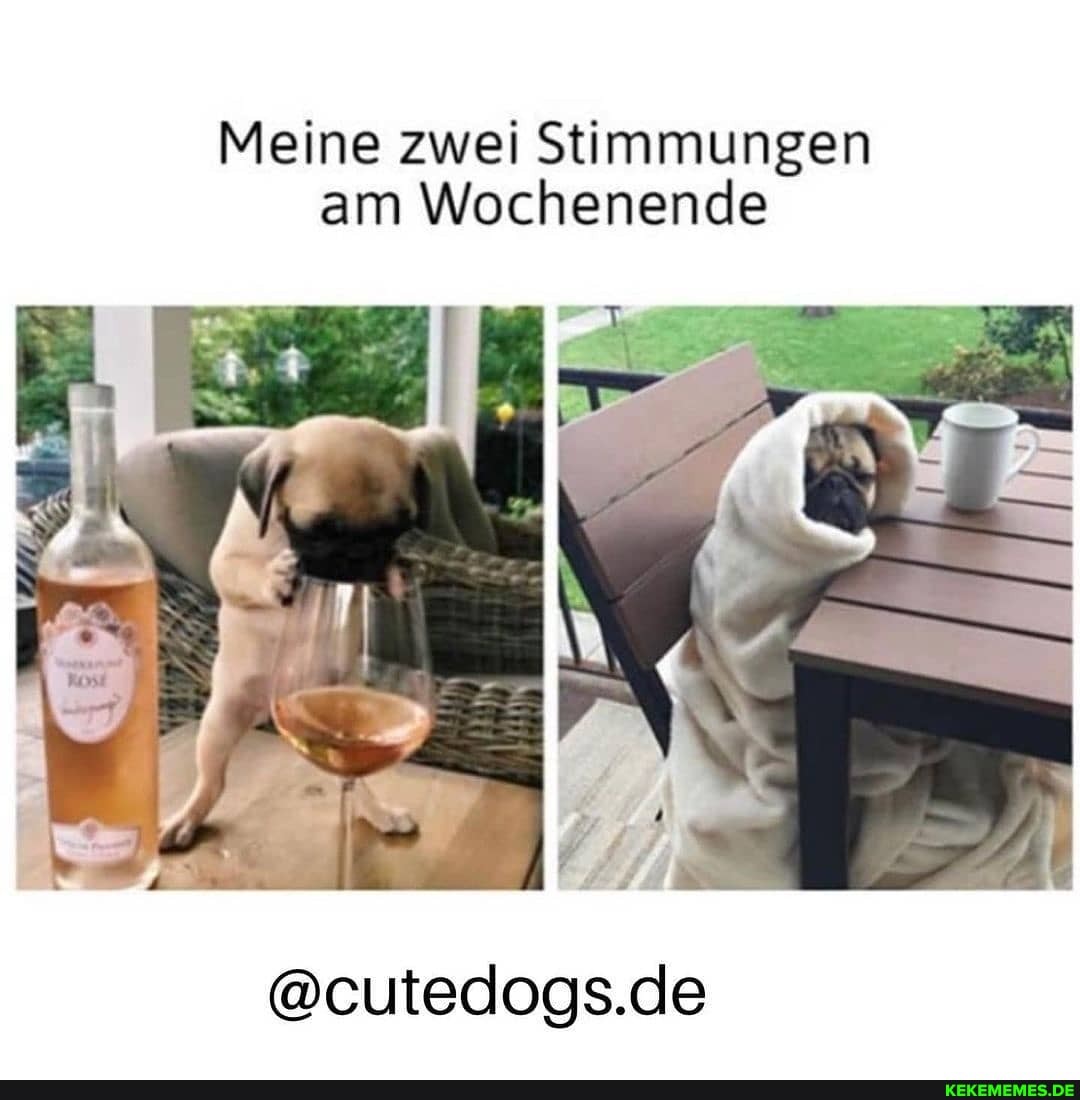 Meine zwei Stimmungen am Wochenende
@cutedogs.de
