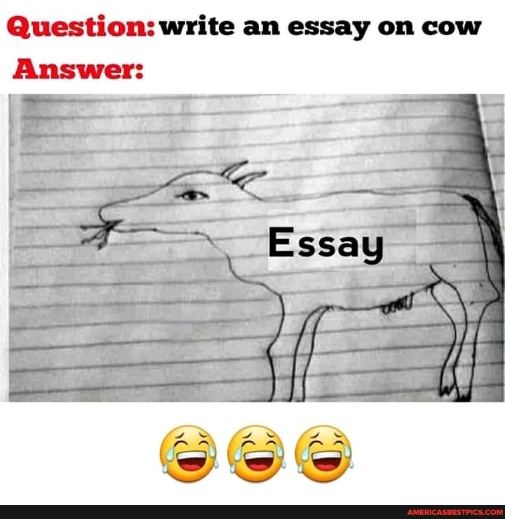 Question: write an essay on cow
Answer:
if