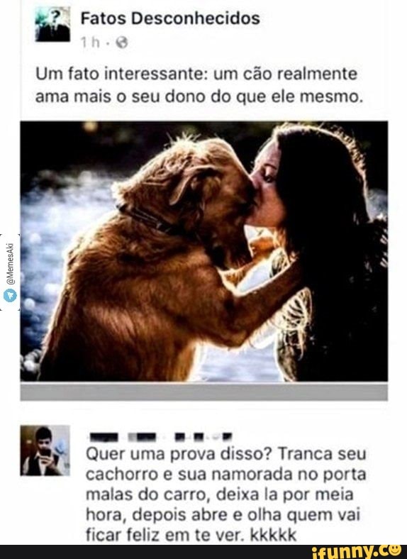 4? Fatos Desconhecidos
Um fato interessante: um cão realmente
ama mais o seu dono do que ele mesmo.
Quer uma prova disso? Tranca seu
cachorro e sua namorada no porta
malas do carro, deixa la por meia
hora, depois abre e olha quem vai
ficar feliz em te ver. kkkkk