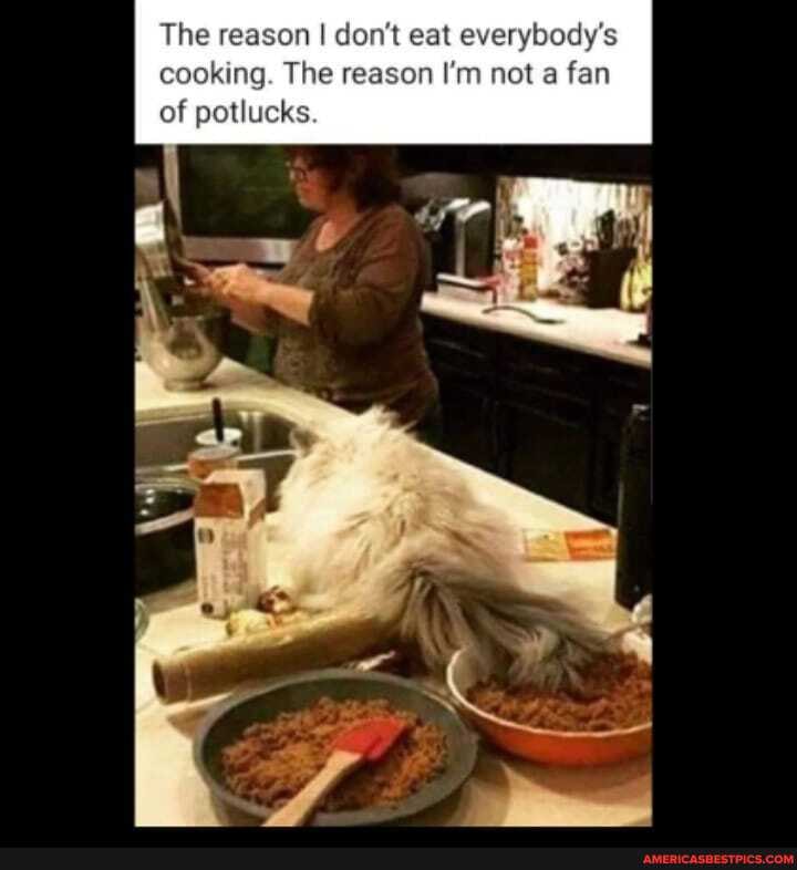 The reason I don't eat everybody's cooking. The reason I'm not a fan of potlucks