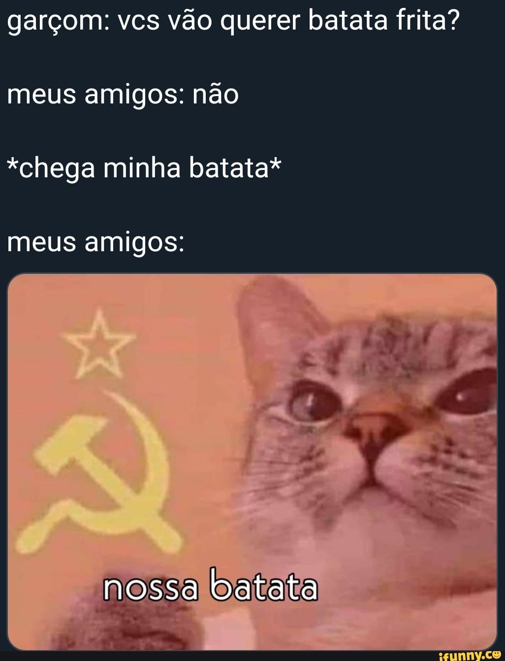 garçom: vcs vão querer batata frita?
*chega minha batata*