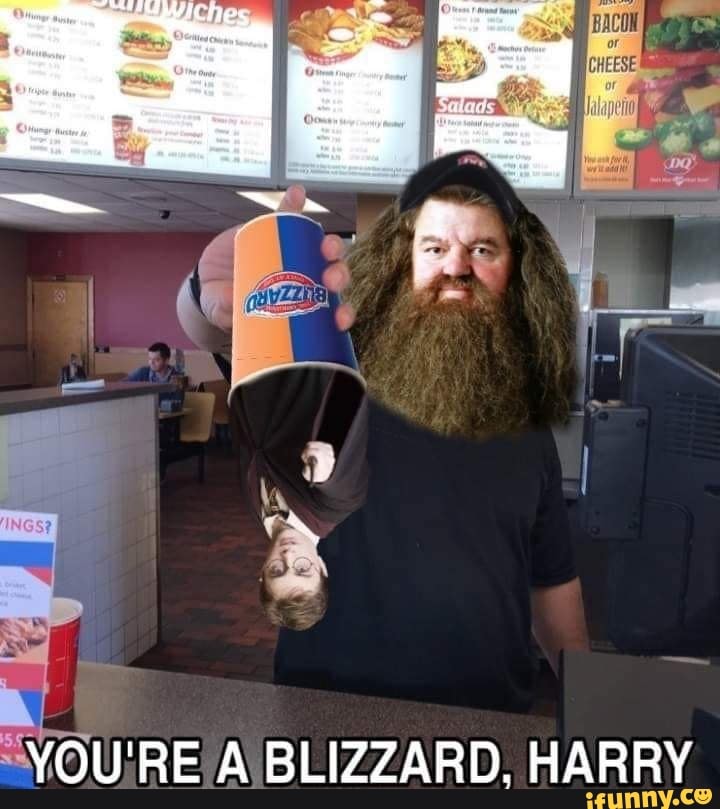 YOU'RE A BLIZZARD. HARRY