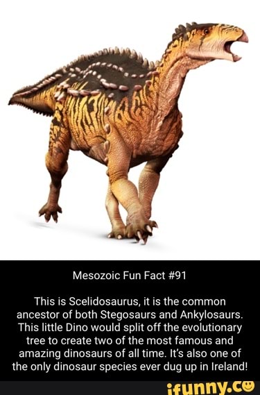 Mesozoic Fun Fact #91 This is Scelidosaurus, it is the common ancestor ...