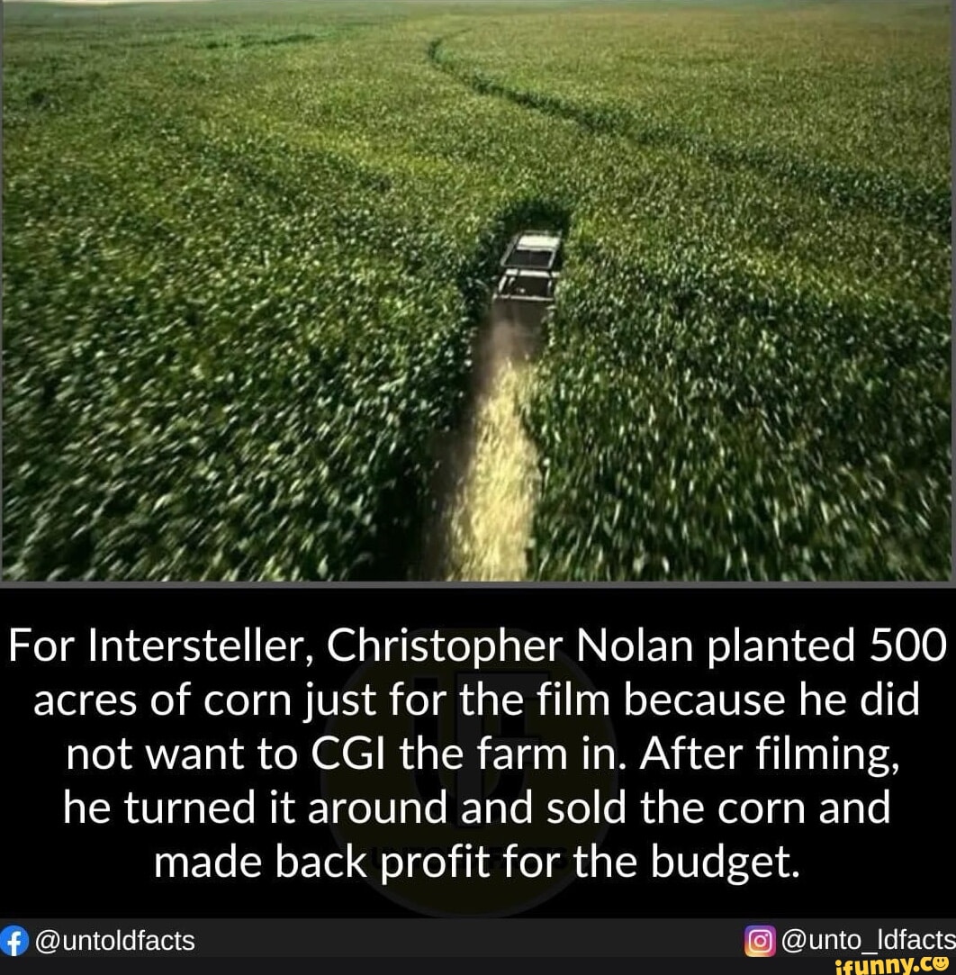 Car salesman "slaps roof of car* this bad boy can fit so many iFunny