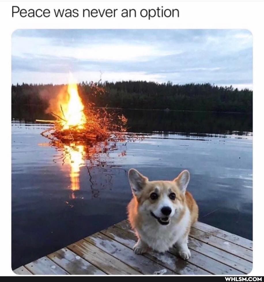 Peace was never an option