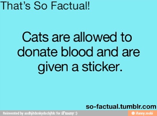 That's So Factual!
Cats are allowed to
donate blood and are
given
a
sticker.
so-factual.tumblr.com