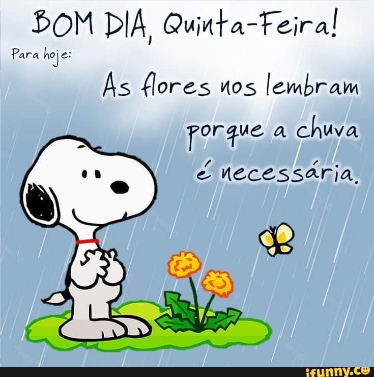 BOM DIA, Quinta-Feira! Para hoj Às flores nos lembram porque a chuva e  Vecessaria, - iFunny Brazil