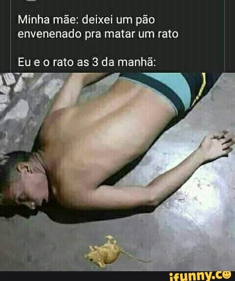 Minha mãe: deixei um pão envenenado pra matar um rato
Eueo rato as 3 da manhã: