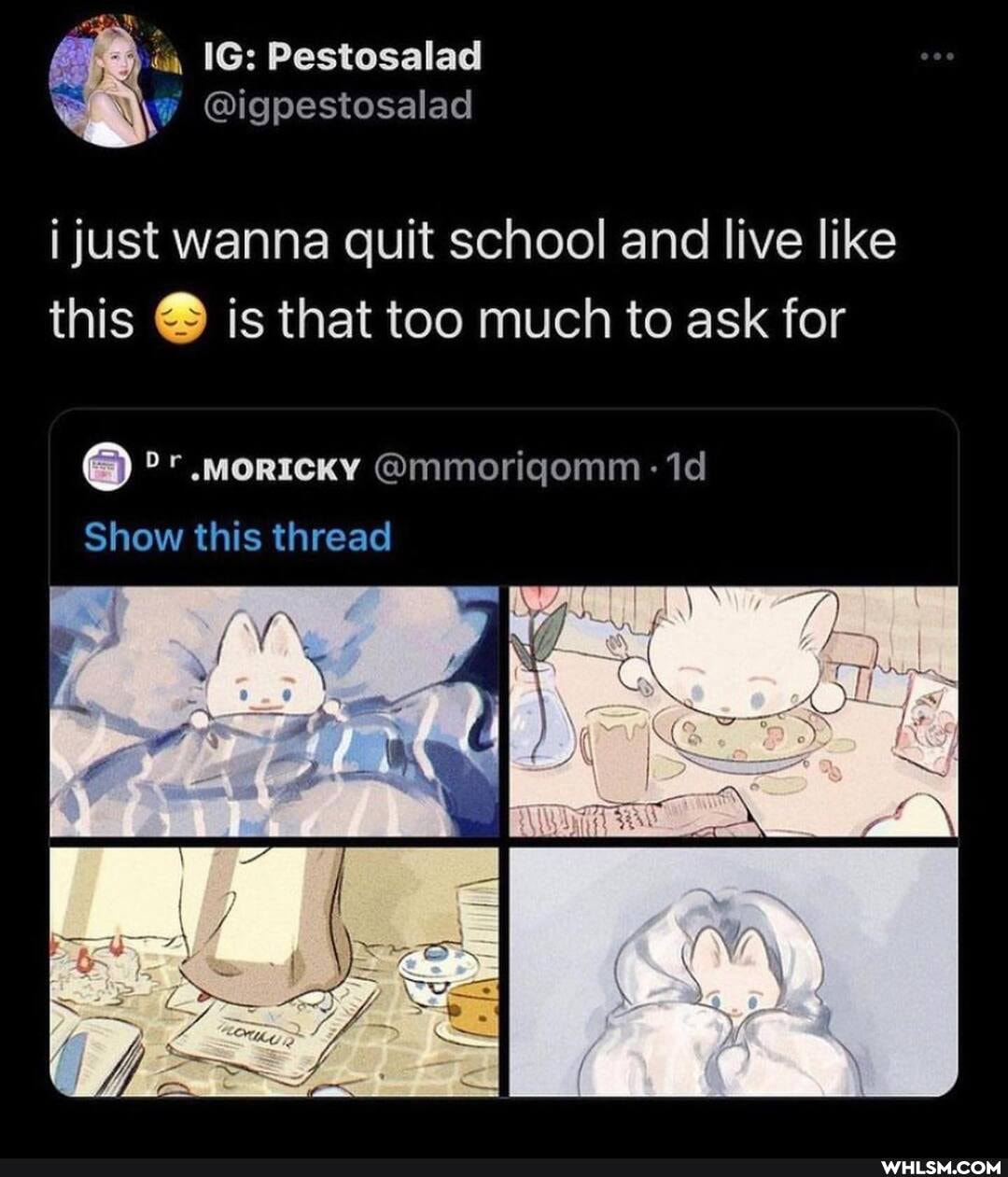 ia IG: Pestosalad
@igpestosalad
just wanna quit school and live like this is that too much to ask for
or @mmoriqomm -
Show this thread