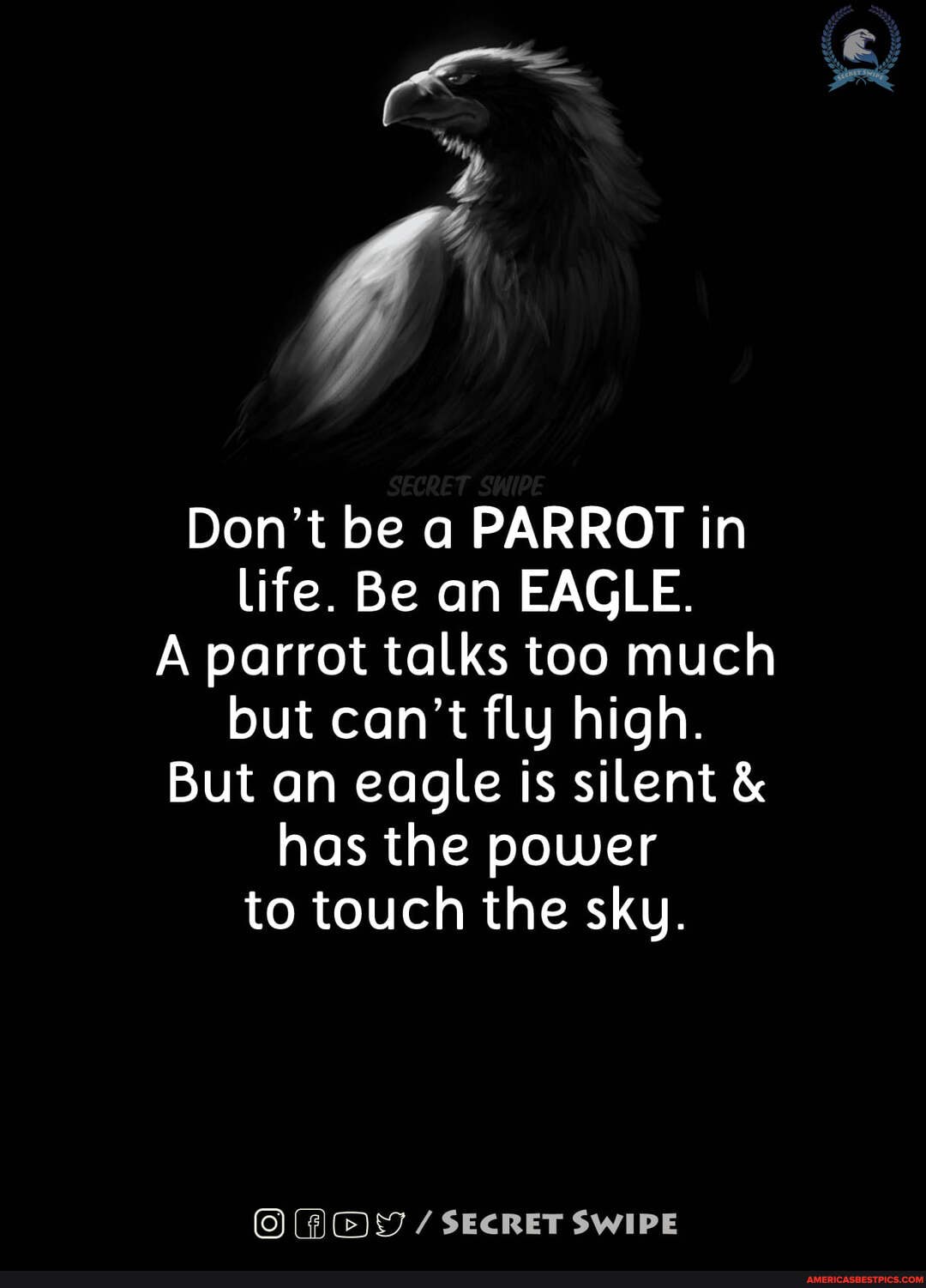 Don't be a PARROT in life. Be an EAGLE.
A parrot talks too much but can't fly high.
But an eagle is silent has the power to touch the sky.
/ SECRET SWIPE