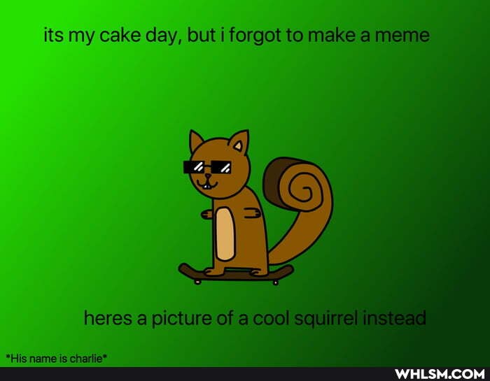 its my cake day, but forgot to make a meme
heres a picture of acoo scu