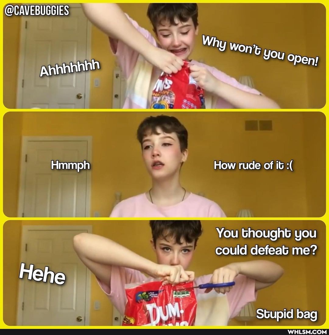 @CAVEBUGGIES
Ne
Won You Open!
Hmmph How rude of it
You thought you could defeat me?
Hehe
Stupid bag