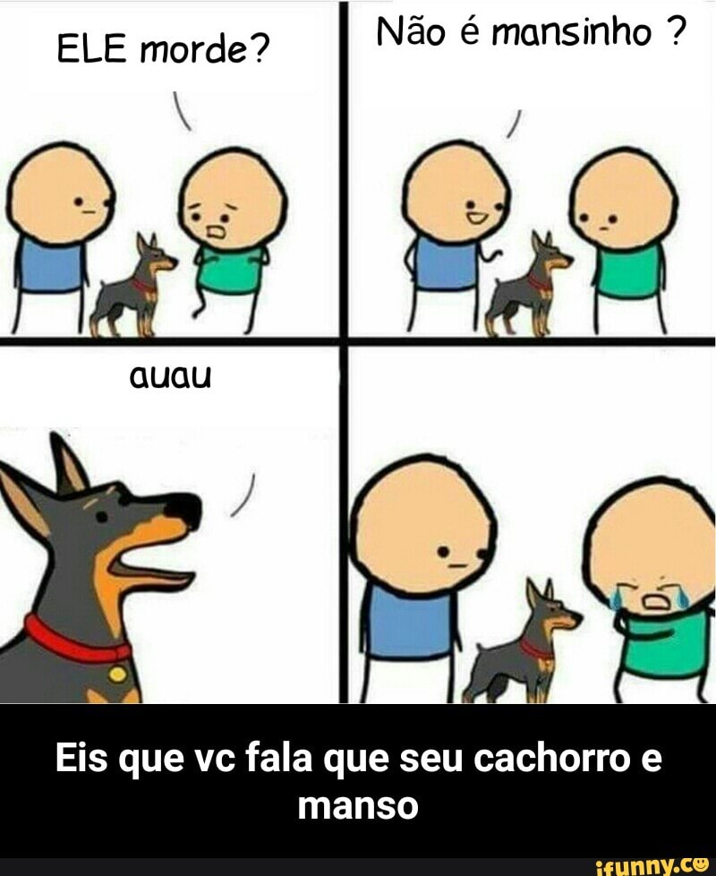 ELE morde?
Não é mansinho Eis que vc fala que seu cachorro e
manso - Eis que vc fala que seu cachorro e manso