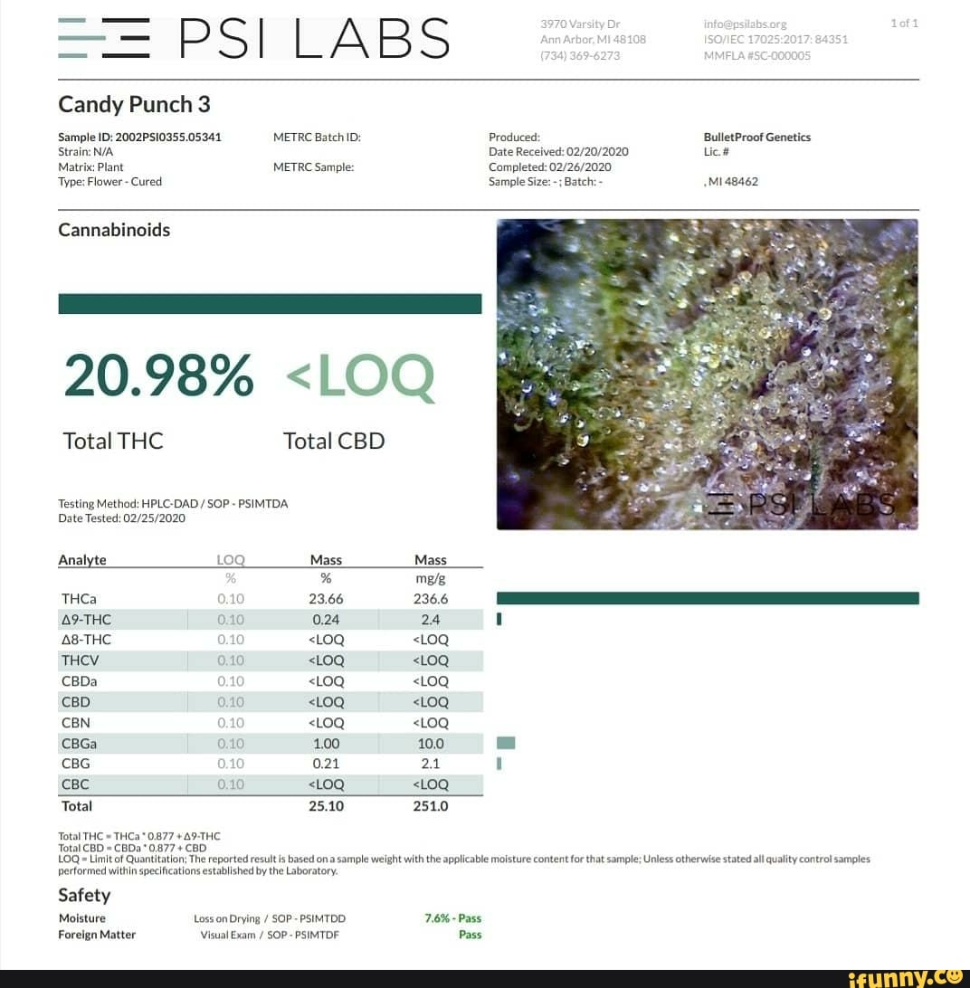 SS Candy Punch 3 'Sample ID 2002PS10355.05341 METRE Batch ID Produced