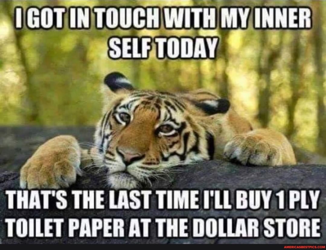GOTIN: TOUCH WI WITH INNER SELF TODAY
* al
THAT'S THE LAST TIME I'LL BUY 1 PLY TOILET PAPER AT THE DOLLAR STORE