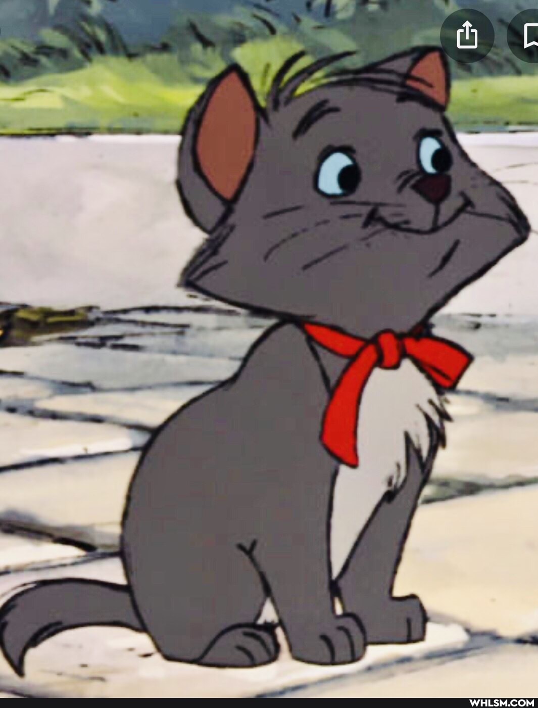 cat, kitten, baby_animals, aristocats, catsofimgur